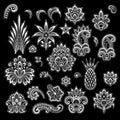 White Vector Lace. Flowers and Fruits. Clip Art. Royalty Free Stock Photo